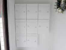 ����ݥ��� ���ꥢ�� �ʥ�����ۥ磻�ȡ��ܹ���̿�