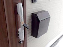 TOEX �������ݥ��ȥץ쥤�� ���祳��֥饦��ܹ���̿�