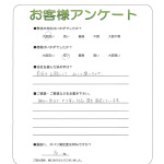 ���ɸ����ɻԡ�T��