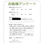 ���ɸ����𷴻���Į��T��