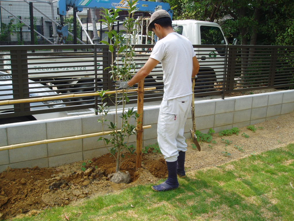 植木・植えつけ