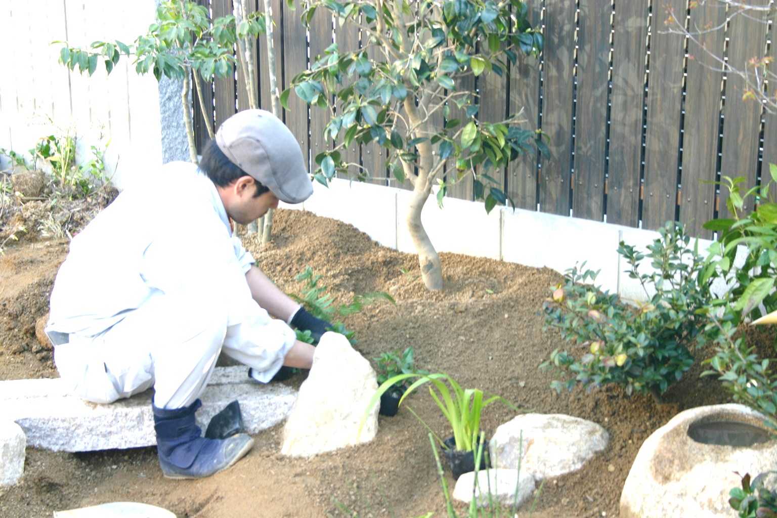 下草低木植栽