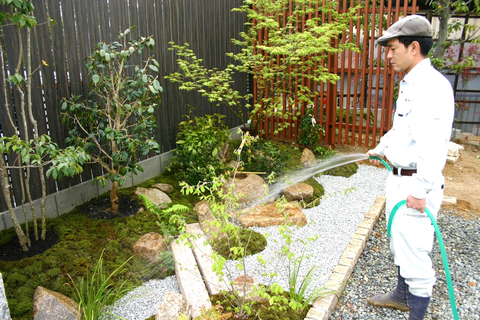 水やり