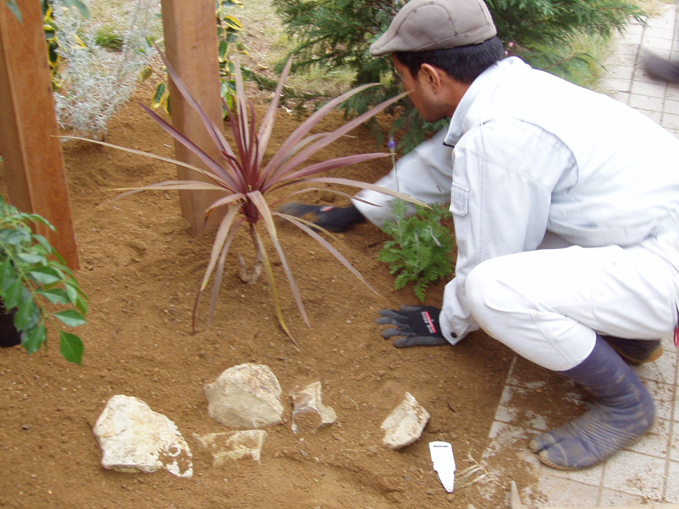 10.低木植栽